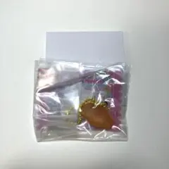 サンリオ グミチュアチャーム GUMMY グミ＆ミニポーチ　こぎみゅん
