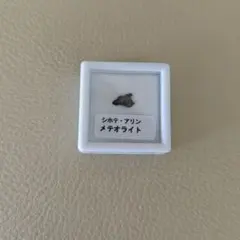 シホテ・アリン メテオライト 隕石 ルース