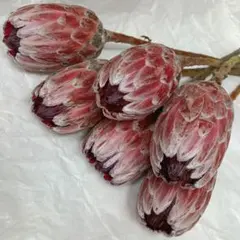 yayoisangatsu様 リクエスト 2点 まとめ商品