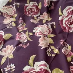 Item thumbnail for item 11ae4979-3843-49e1-bd84-5b5912babea0