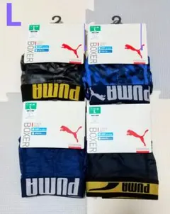 Item thumbnail for item 9708c6e3-7165-424e-a34e-390e4126fcd0