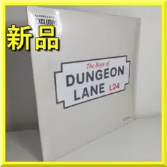 e*o様 限定版 ポールマッカートニー ダンジョンレイン ピンクレコード