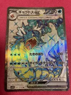 2026年最新】ギャラドスv srの人気アイテム - メルカリ