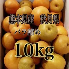甘夏 美味しい 大サイズ 20Kg - メルカリ