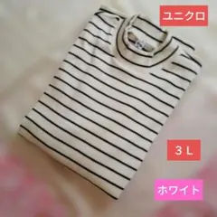 ユニクロ　大きいサイズ　❬３Ｌ❭　リブ　ハイネック　ボーダー　Tシャツ　ホワイト