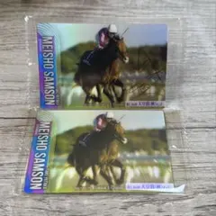 サラブレッドホースコレクション　メイショウサムソン　サインノーマルセット