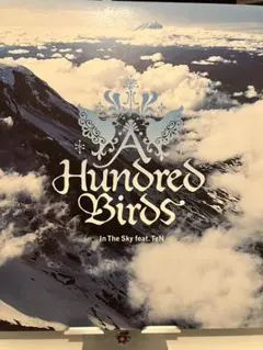 A Hundred Birds In The Sky feat. TeN