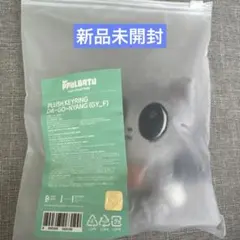 TXT トゥバ テヒョン プルバトゥ ダゴニャン プラッシュキーリング