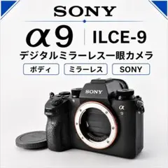 SONY α9 ILCE-9 デジタル ミラーレス 一眼カメラ#1621.77 - メルカリ