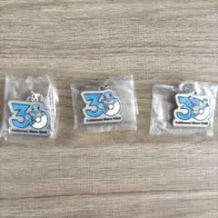 ポケモン30周年メタルチャームマスコット ゼニガメ カメックス