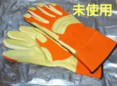 Item thumbnail for item 066ebeb7-c700-40b0-b35a-38f6624c865f