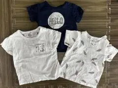 【80cm】Tシャツ 3枚セット