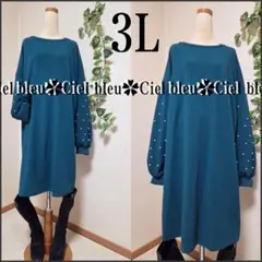 Item thumbnail for item 622589e8-53b3-4dee-99f8-6e3806c6b470