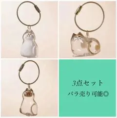 【まとめ売り】猫の毛カプセル 猫毛 保存容器 猫毛キーホルダー 3点セット