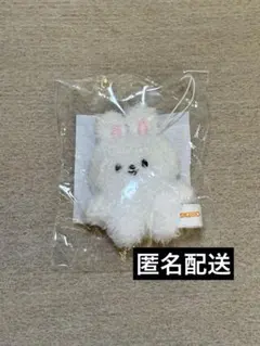 straykids SKZOO KEYRING MICRO VERリノ リビット - メルカリ