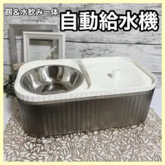 Item thumbnail for item c647ac2d-8ef0-439e-9a8a-bb454a697c38