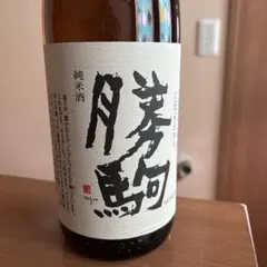 2026年最新】勝駒の人気アイテム - メルカリ