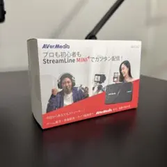 AVerMedia StreamLine MINI+ キャプチャーボード