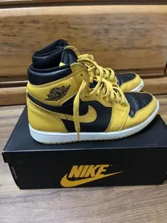 NIKE AIR JORDAN 1 パラン　26.0cm