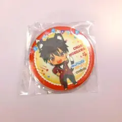 あんさんぶるスターズ！ 缶バッジ 守沢千秋 ナンジャタウン