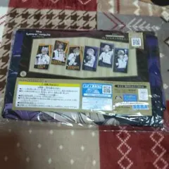 ディズニー ツイステッドワンダーランド プレミアムバスタオルvol.2 ヴィル