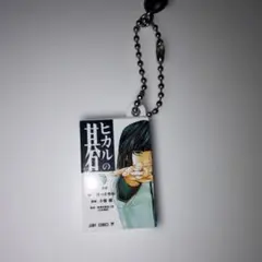 ヒカルの碁 ミニチュアブック キーホルダー