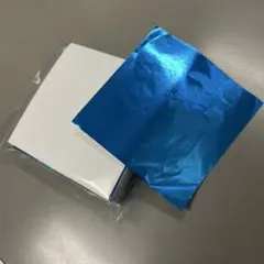 Item thumbnail for item b089b73a-303f-43b4-b4d6-24e50ea127f7