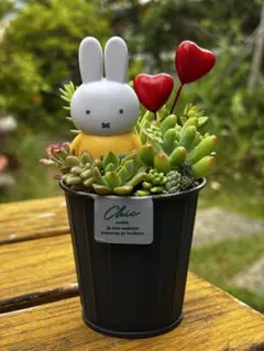 多肉植物＊ミッフィー＊かわいい寄せ植え＊そのまま飾れる＊飾り付き