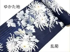 浴衣地 ゆかた地 レディース 未仕立て ゆかた反物 綿地 紺地 縞に乱菊