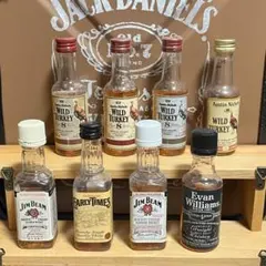 ウイスキー ミニボトル ミニチュアボトル10本セット シーバスリーガル