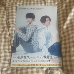 美しい彼 TVドラマ＆劇場版公式ビジュアルブック