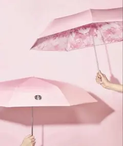 韓国　スターバックス　サクラ　折り畳み傘　さくら　春