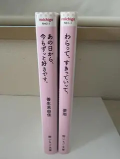野いちご文庫　まとめ売り