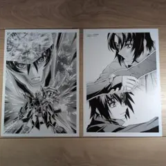 ガンダムSEEDフリーダムポストカード 2枚セット