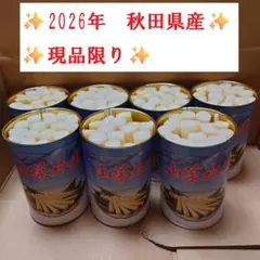 青森県産根曲がり竹缶詰5缶セット - メルカリ