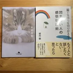 【2冊セット】凹まない人の感情整理術/もう怒らないレッスン