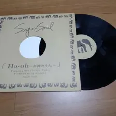 2026年最新】sugar soul garden レコードの人気アイテム - メルカリ
