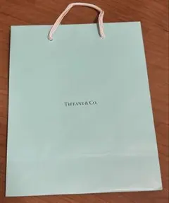 Tiffany & Co. ショップ袋 ショッパーのサムネイル