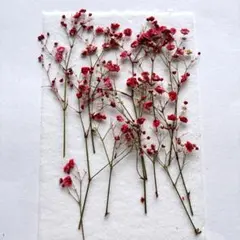 Item thumbnail for item 7a46d255-4dad-4d1b-a6a4-6bac1dadcfc7