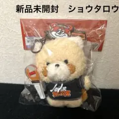 2025年最新】Riize ショウタロウ ぬいぐるみの人気アイテム - メルカリ