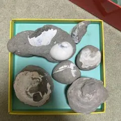 mini-fex様 リクエスト 2点 まとめ商品