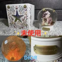 Dior - 専用ディオールスノードーム 2026年最新】diorスノードームの人気アイテム - メルカリ