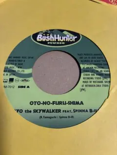 RYO the SKYWALKER 晴レワタル丘 7インチレコード - メルカリ