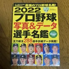 Item thumbnail for item ae43c137-8a2e-4cae-8ec8-ea2946a87fd5