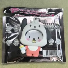 サンリオキャラクターズ　フォトバッジ付きマスコット　ポチャッコ③