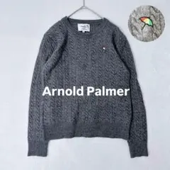 アーノルドパーマー ニット M グレー ケーブル編 春コーデ 刺繍ロゴ シンプルのサムネイル