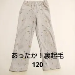 裏起毛 120 ズボン