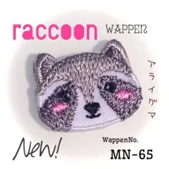 激可愛い❤️New❣️新作✌ハッピー⭐️アライグマ❄ラスカル⚡かわいい✨熊☀ワッペン