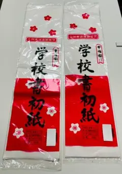 Item thumbnail for item 4f4ef1bf-7d7b-4647-aafc-8c050708e713