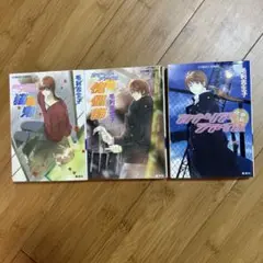毛利志生子　カナリア・ファイルシリーズ　小説3冊セット